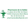 Tampon médical Caducée Pharmacien Personnalisé | Professionnel affiché avec logo vert et texte: adresse, téléphone et email de p