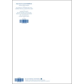 ORDONNANCES A4 (IMPRESSION BLEUE)